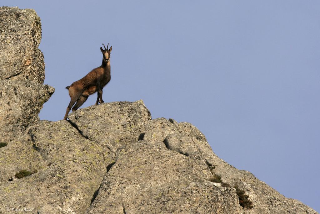 Vvf Pyrenees Canigou Пра-де-Молло-ла-Прест Экстерьер фото